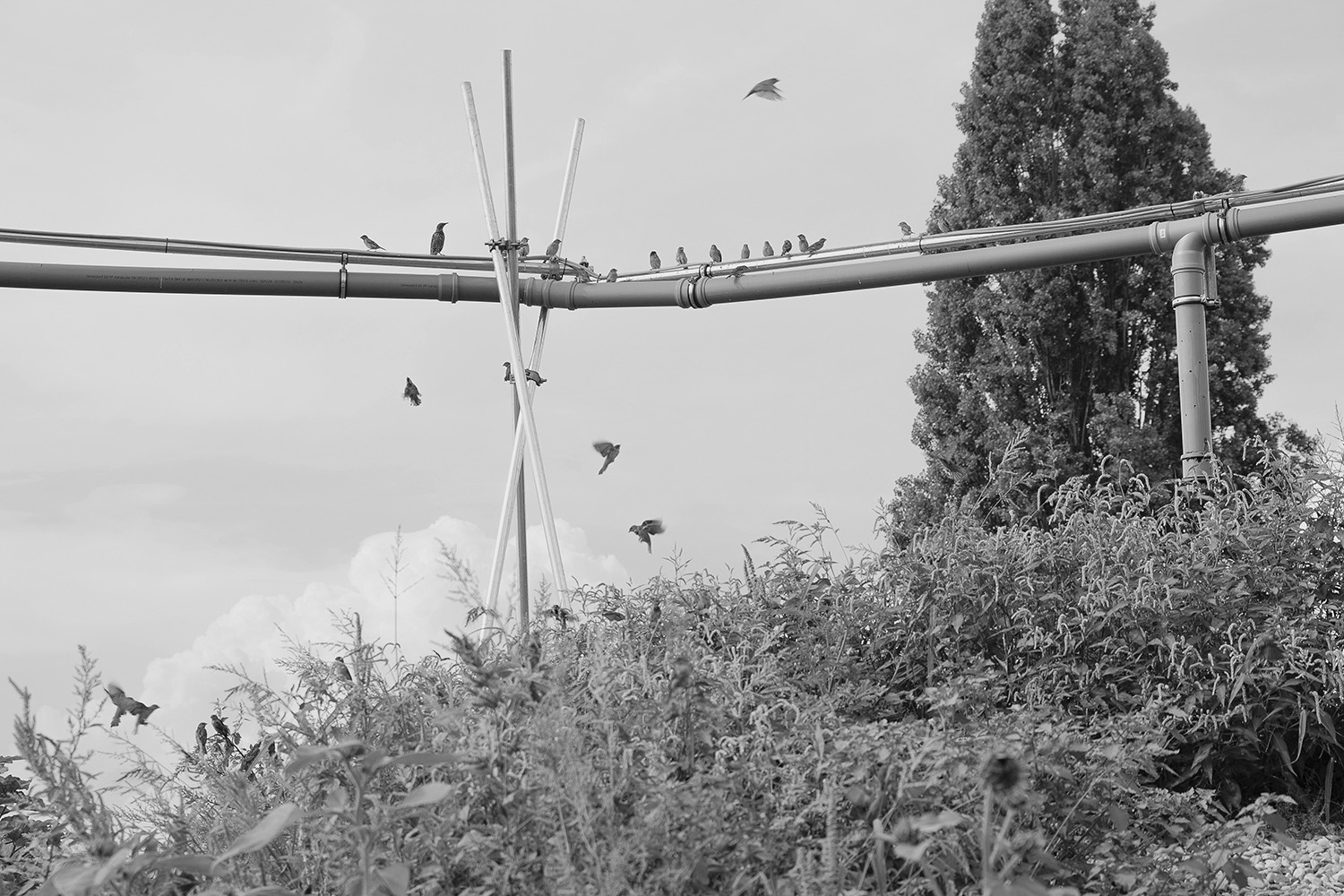 Mélusine au jardin, designed by Kollektive Land (Camille Delégue, Günther Galligioni, Martin Koenig) for Lausanne Jardins ‘24. Image credits Claudia Ndebele