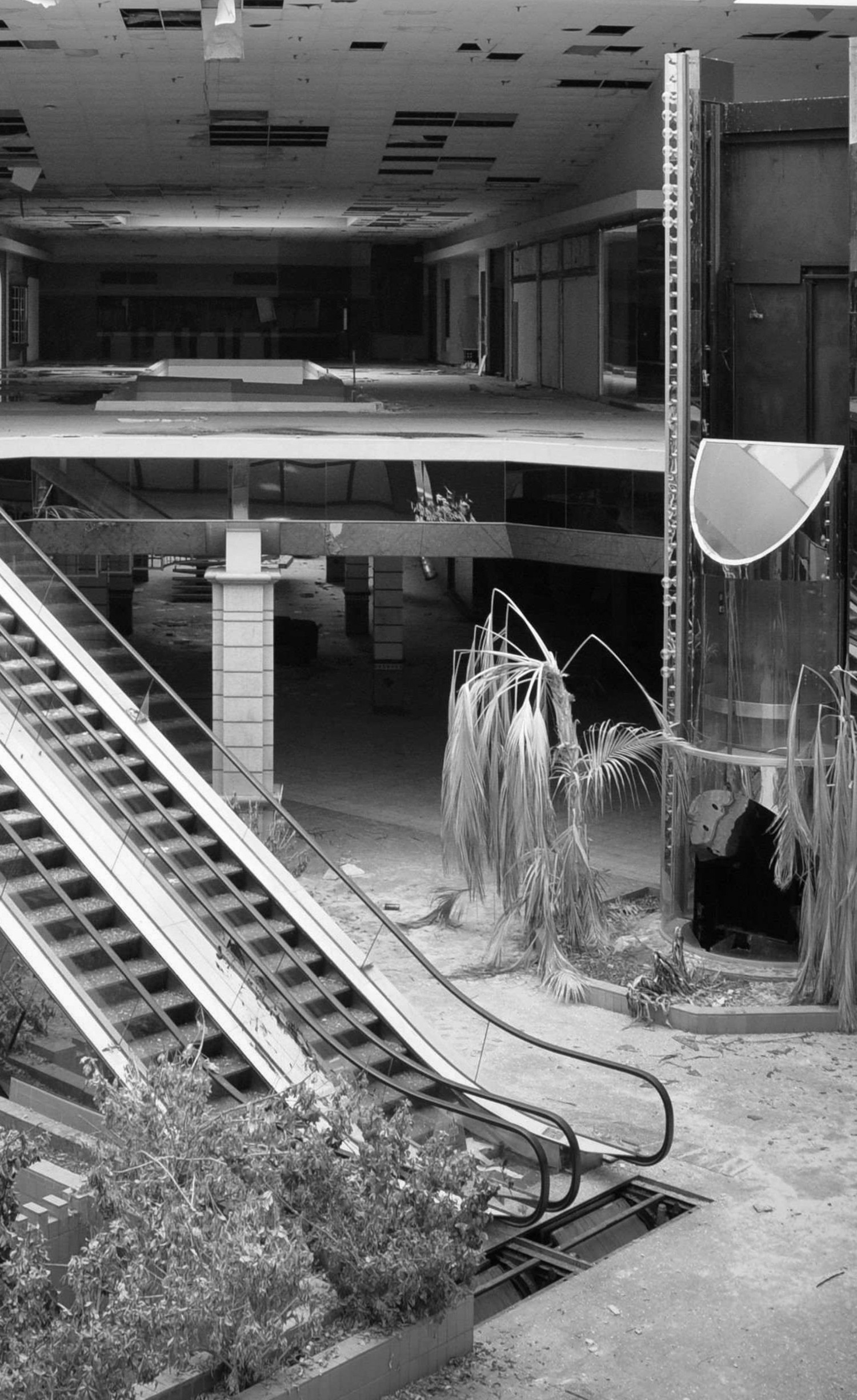 Abandoned Department Store. Credits image Seph Lawless