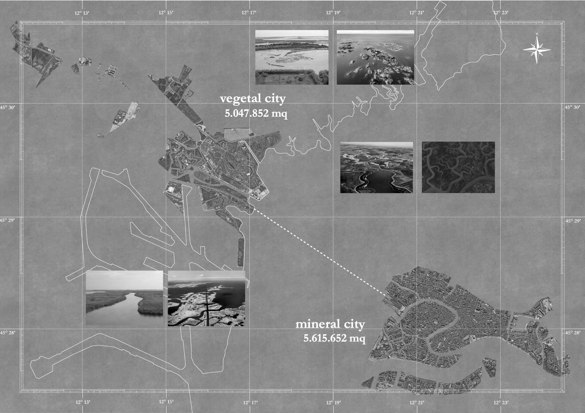Mineral City / Vegetal City. Image credits Fernanda De Maio.